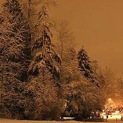 photo "Midnight. After snowfall..."