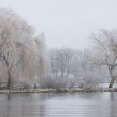 photo "в пастельных тонах"