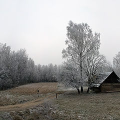 фото "Забытый уголок."