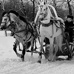 фото "тройка"