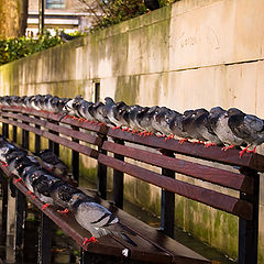 photo "Platoon... quietly...!!!"