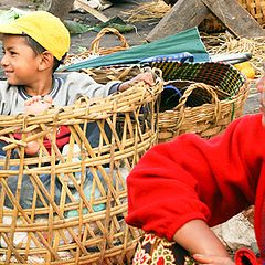 фото "boy in the basket"