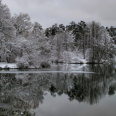 фото "Кружева"