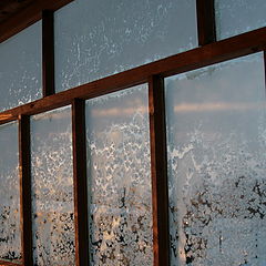 photo "***"