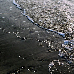 фото "Seashore"