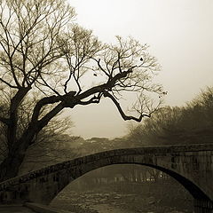 фото "Старый мост"