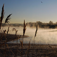 фото "Берег."