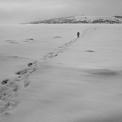 photo "Winter road"