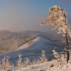 фото "Из серии "На семи ветрах""