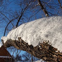 фото "Зимнее настроение"