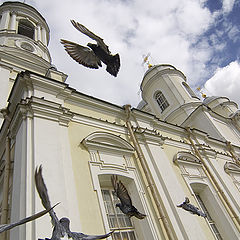 photo "Голуби Князь-Владимирского собора"