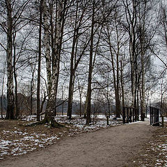 photo "one way"