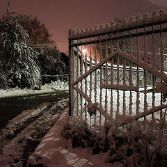 photo "Winter landscape with a fence"