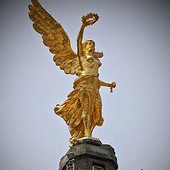 photo "Liberty above all"