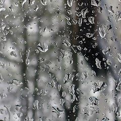 фото "Дождь. Взгляд изнутри"