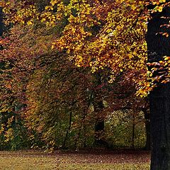 фото "United Colors of Berlin"