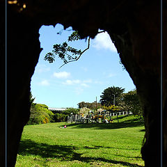 photo "Tree Hole"