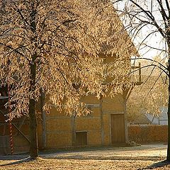 фото "sunny winter day"