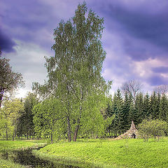 photo "Walk on old park in partnership with northern summer"