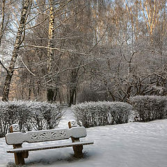 photo "Early morning in park"