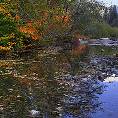 photo "Fall Reflections"