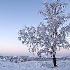 фото "Крещенские грядут"