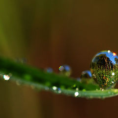 photo "impossible pearl"