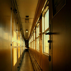 photo "train"