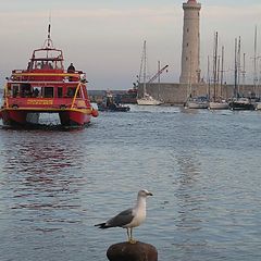 фото "as a bodyguard o the port..."