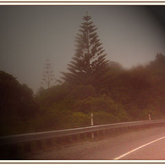 фото "Misty Highway"