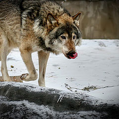 photo "Tasty was grandmother))"