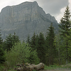 photo "Parc National de Chartreuse"