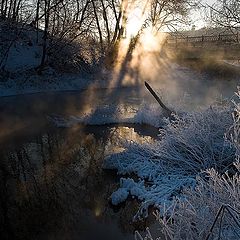 фото "Свет и тень. Январь"