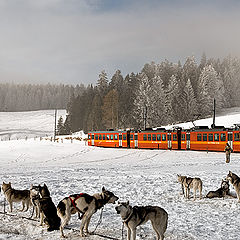 фото "The train..."