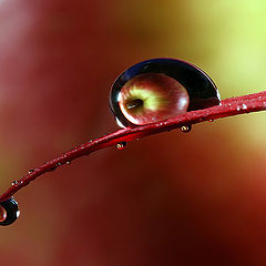 photo "lights and water"
