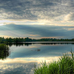 фото "Лучи"