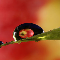 photo "Vitamin drops II"
