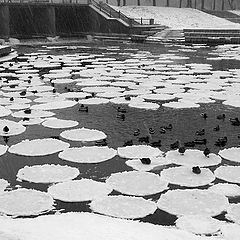 photo "Ice Round Dance"