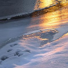 photo "Footmarks of shadows"