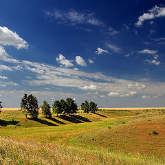 фото "Летний пейзаж"