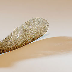 photo "Nose"