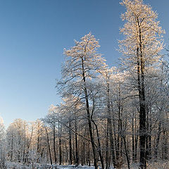 photo "Churilikha-river"