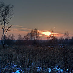 photo "Twilight before New year"