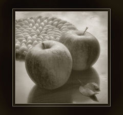 photo "Apples on my table"