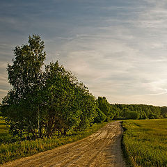 фото "В Шишкин лес"