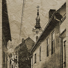 photo "Gardos"