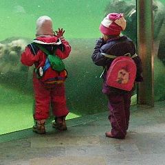 photo "Look."