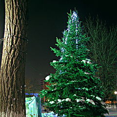 фото "Ёлкины праздники."