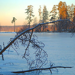 фото "Зимний день"