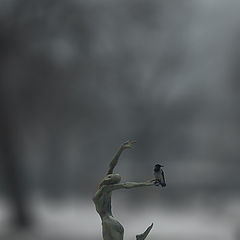 photo "The Raven and the Freedom"